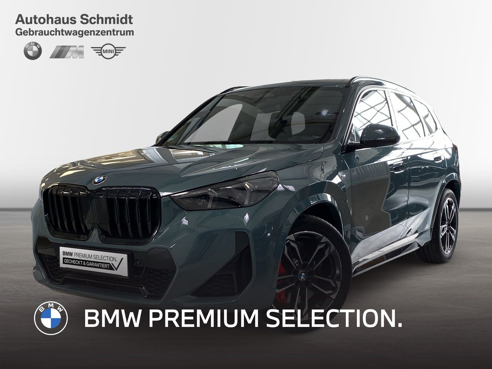 BMW X1 xDrive20d 434€ netto/mtl.*M Sportpaket Pro*19