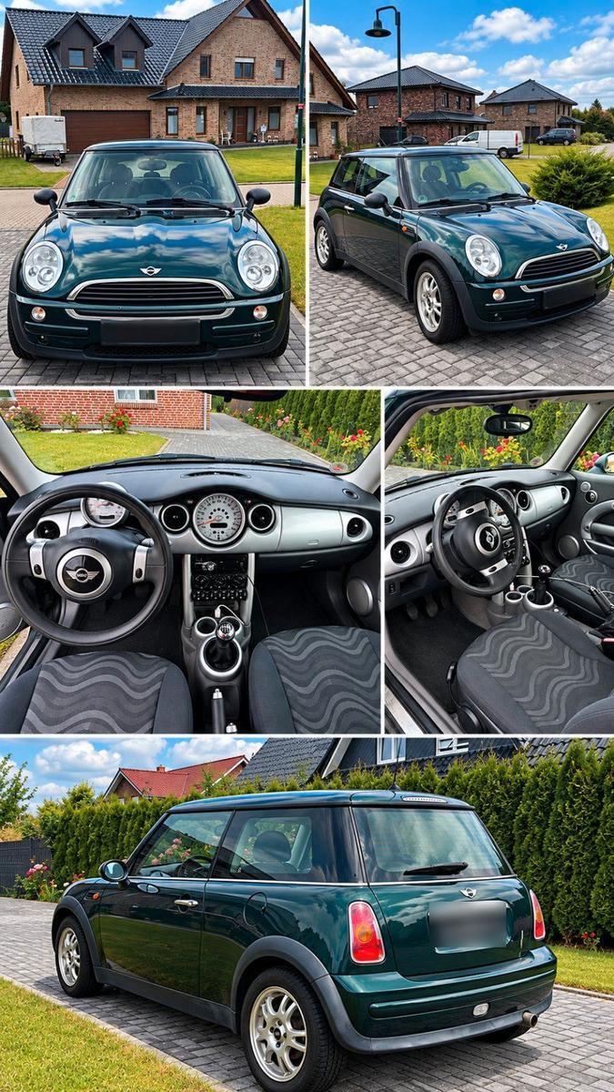 MINI ONE