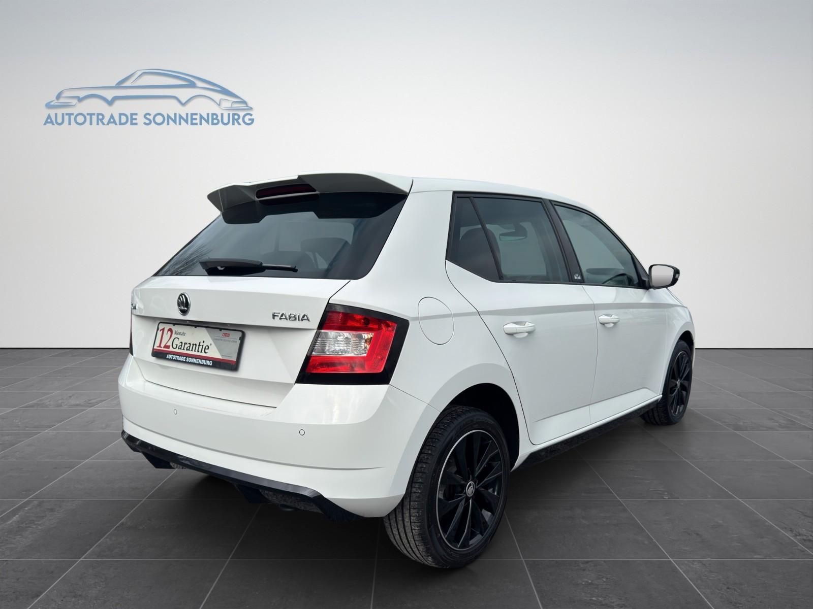 Skoda Fabia Monte Carlo*Panorama