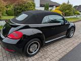Volkswagen Beetle 1.6 TDI 50's Cabriolet Design 50's - Volkswagen Beetle: TDI