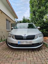 Skoda Oktavia Kombi, Automatik, 2,0 TDI mi... - Skoda mit Diesel-Antrieb: Oktavia