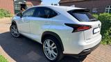 Lexus NX300h Executive 4x4+22" Alus+TÜV&Service Neu - Lexus: Nx