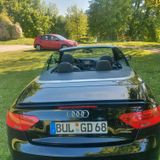 Audi A5 3.0 TDI S tr. clean d. quat. Cab. 3x S- LINE - Audi A5 mit Diesel-Antrieb: Cabrio, 3.0