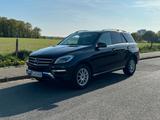 Mercedes-Benz ML350 CDI BLUETEC - Mercedes-Benz ML 350 in Wuppertal