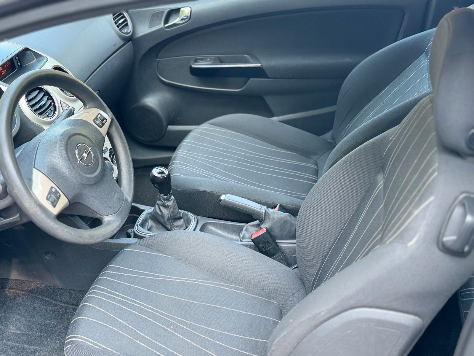 Ford Focus 2009 — photo 8