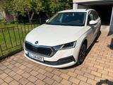 Skoda Oktavia - Skoda: Kombi, Oktavia