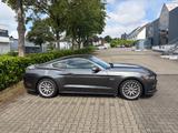 Ford Mustang 5.0 Ti-VCT V8 GT GT - Ford Mustang Gebrauchtwagen in Wuppertal