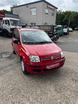 Fiat Panda 1.2 8V Dynamic - Fiat Panda Dynamic mit Benzin-Antrieb