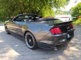 Ford Mustang Cabrio 5.0  V8 GT US-Import - : Import