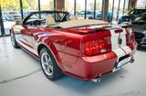 Ford Mustang Gt V8 SCHALTER CABRIO LEDER - Ford Mustang: Rot, Cabrio