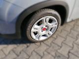 Fiat PANDA 1.0 GSE Hybrid - Fiat Panda: Pickup