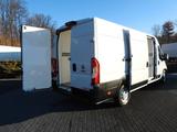 Fiat DUCATO KÜHLKASTENWAGEN -10C STROMVERSORGUNG 230V - Autokran