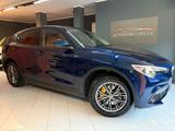 Alfa Romeo Stelvio 2.2 (Prezzo reale ) - Alfa Romeo Stelvio Kombi Gebrauchtwagen