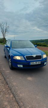 Skoda Octavia Combi 1.9 TDI 8 Fach bereift - Skoda Octavia aus 2007: 1.9