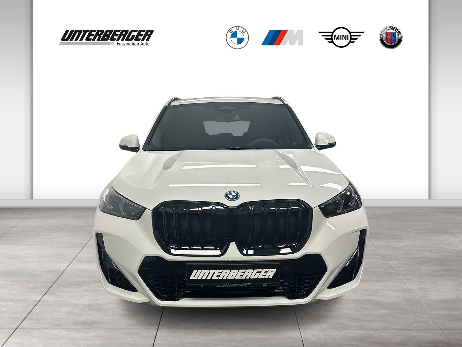 BMW X1 xDrive25e M Sportpaket HK HiFi DAB LED Shz imagem 2