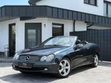 Mercedes-Benz CLK 240 Cabrio/SHZ/LEDER/KLIMA/COMMAND/AUTOMATIK - : Auto24