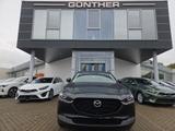 Mazda CX-30 2.5L 140PS Nagisa, sofort - Mazda CX-30 mit Hybrid-Antrieb: Nagisa