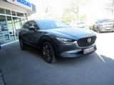 Mazda CX-30 e-SKYACTIV X 186 FWD Exclusive-Line 360° - Mazda CX-30 Exclusive-Line mit Benzin-Antrieb