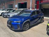 Lexus UX Hybrid F-Sport 2WD - Lexus aus 2021