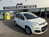 Fiat Panda Pop 1Hand Klima - Fiat Panda Gebrauchtwagen in Mönchengladbach