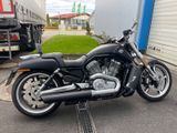 Harley-Davidson V Rod Muscle - Offers matching your search criteria