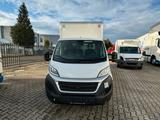 Fiat Ducato Koffer mit Ladebordwand - Holztransporter