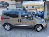 Fiat Fiorino QUBO 1.3 MJT 95CV Trekking (N1) - graue Fiat Fiorino