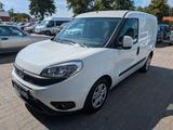 Fiat Transport von Hunden und anderen Tieren - Fiat Doblo aus 2016