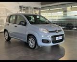 Fiat FIAT Panda 3ª serie 1.0 FireFly S&S Hybrid - Fiat Panda: Fire