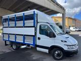 Iveco Daily 35c13 trasporto animali vivi Cavalli - Iveco aus 2003