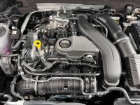 CUPRA Ateca 1.5 TSI DSG DAB PANO AHK 360° 19
