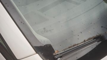 Volkswagen Caddy - 11