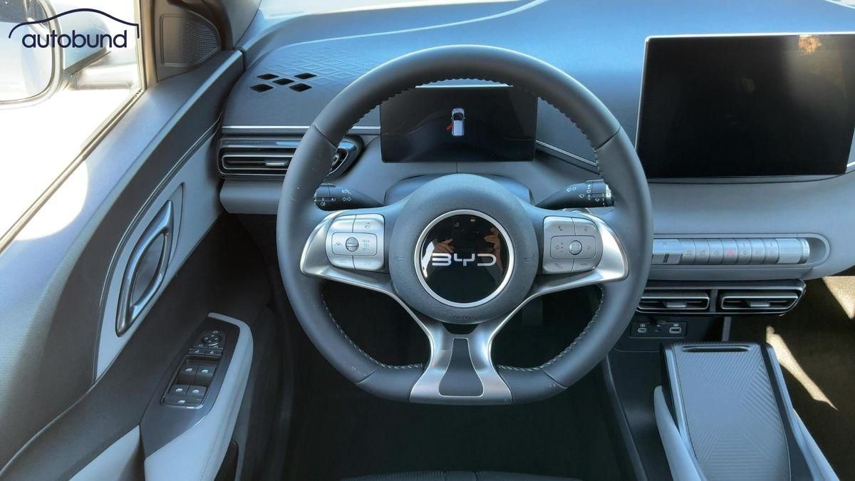 BYD DOLPHIN SURF