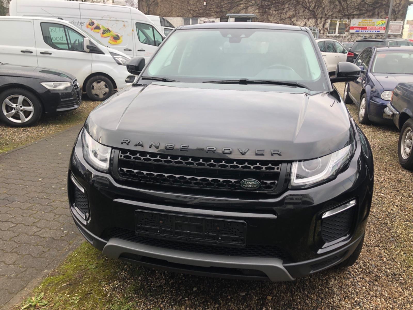 Land Rover Range Rover Evoque SE,Leder,Pano,
