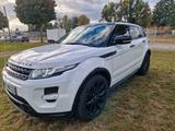 Land Rover Range Rover Evoque 2.2 TD4 Dynamic Dynamic - Land Rover Range Rover Evoque in Rostock