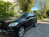 Mercedes-Benz ML 350 4MATIC - - Mercedes-Benz ML 350 in Frankfurt (Main)