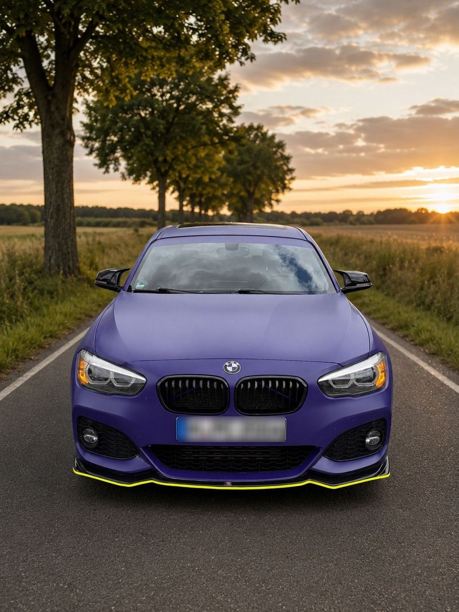 BMW BMW 118d M-Paket *Schiebedach*H/K*NavProf*...