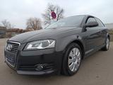 Audi A3 2.0 TDI Ambition - Audi A3 mit Diesel-Antrieb: Sportwagen