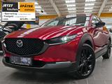 Mazda CX-30 2,5 MHEV Nagisa Leder el.Heckk. BoseSound - Mazda CX-30 Nagisa mit Hybrid-Antrieb (Benzin/Elektro)
