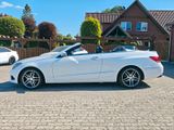 Mercedes-Benz E 400 Cabrio/Navi/Leder/ - Mercedes-Benz: Cab