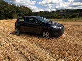 Ford Fiesta 1,25 60kW Titanium Titanium - gebrauchte Ford Fiesta aus dem Jahr 2013