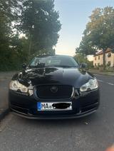 Jaguar XF 3.0 V6 Diesel Luxury Luxury - gebrauchte Jaguar XF aus dem Jahr 2010