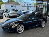 Porsche Cayman 2.7 Black Edition|Schalter|Liebhaber - Porsche Cayman: Black Edition