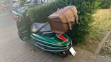 Peugeot Django 50ccm Classic Sport 4Takt in racing-green - ROLLER 4 TAKT