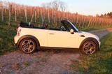 MINI Cooper Cabrio - MINI Cooper Cabrio: Kleinwagen