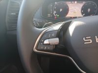 Skoda Karoq - Vorschau Bild 19
