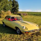 Jaguar E-Type 1 serie 4,2 2+2 rv.1968 NACH RESTAURATION - Jaguar E-Type mit Benzin-Antrieb: Coupe, 4.2