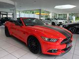 Ford Mustang GT 5.0 Convertible ASCH KOMPRESSOR - Ford Mustang: Cabrio