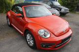 Volkswagen Beetle 2,0l  Cabriolet Design BMT/Start-Stopp - Volkswagen Beetle mit Diesel-Antrieb: Cabrio