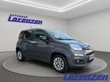 Fiat Panda More Easy 1.2 8V 51kW Musikstreaming PDC A - Fiat Panda: More